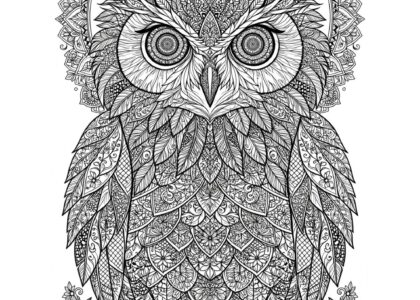 Free printable intricate owl coloring page for adults